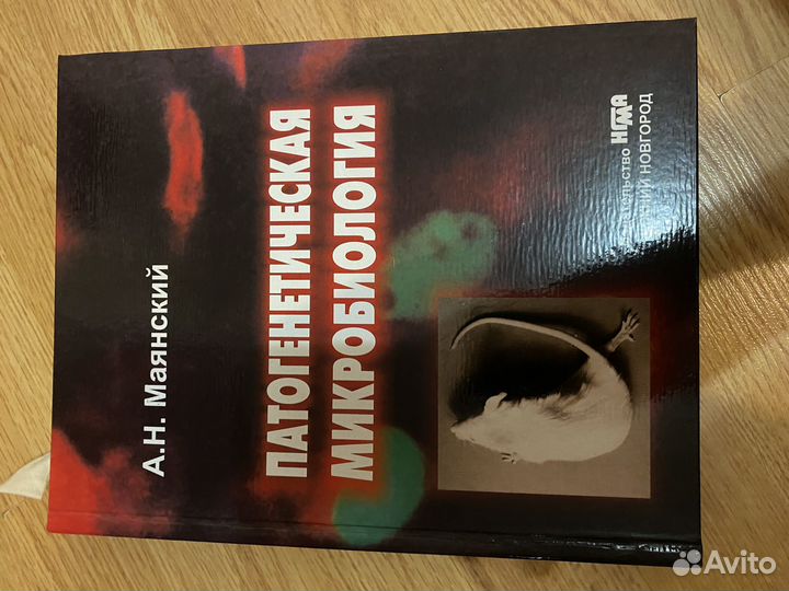 Маянский патогенетическая микробиология