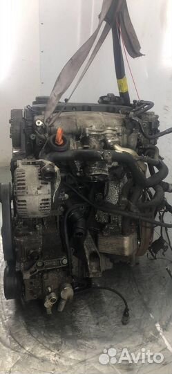 Двигатель Audi A4 B7 2.0