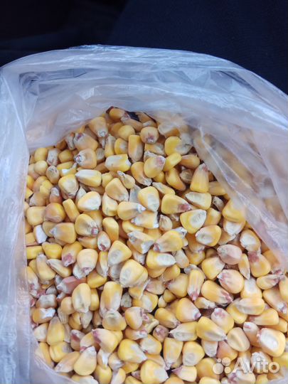 Пшеница, oвес, ячьмень, кукуруза, сено