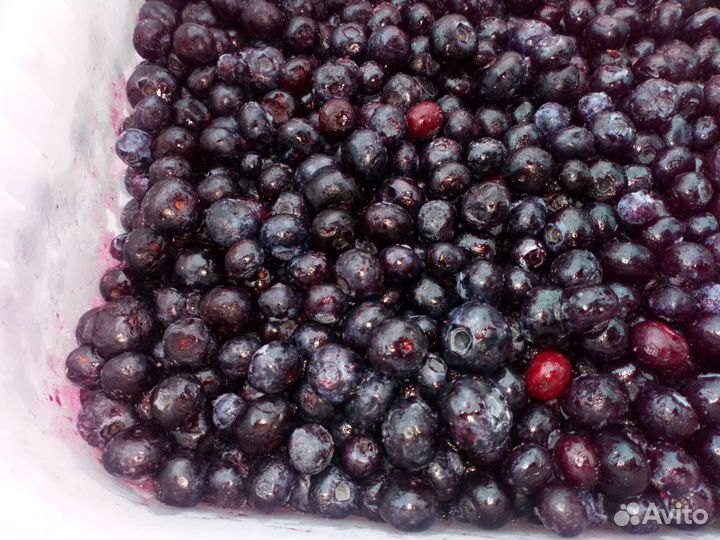 Голубика русская сладкая крупная замороженная