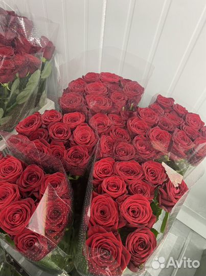 Розы красные. Розы 25 шт. Розы 51 шт