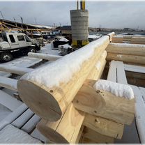 Баня из кедра