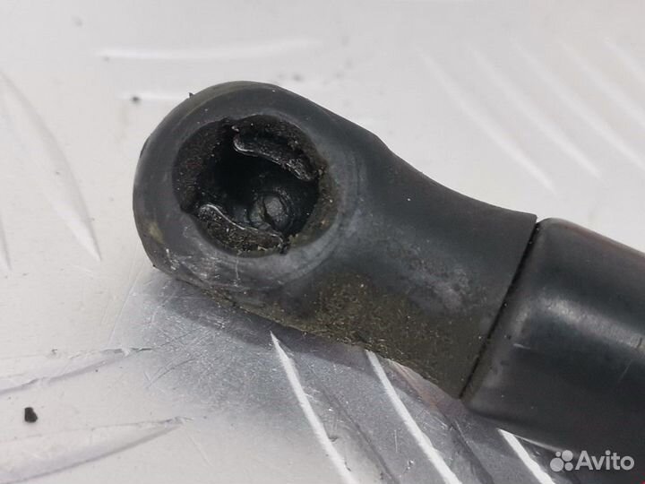 Амортизатор капота Opel Signum C 2003 24454473