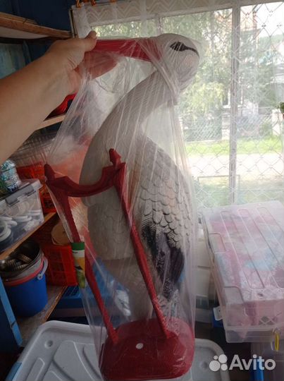 Садовые птицы