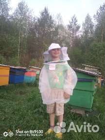 Перга медовая