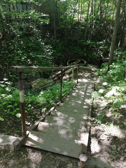 Участок 7,4 сот. (СНТ, ДНП)