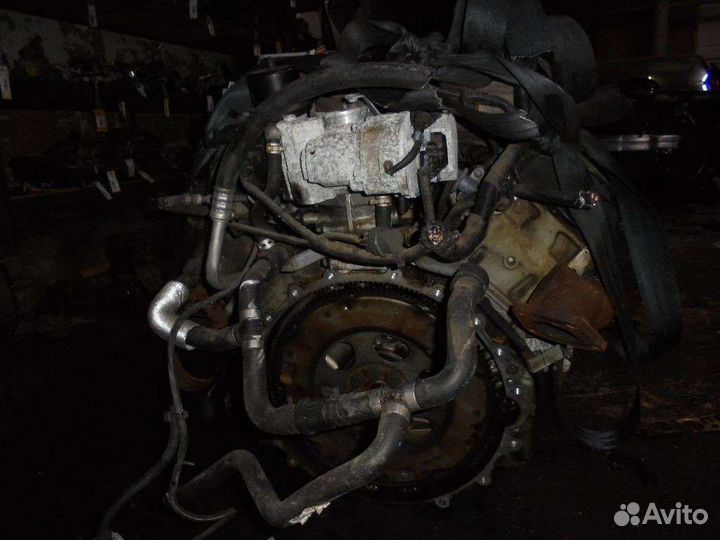 Двигатель на Jaguar Xj X308 AJ-8