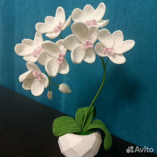 Орхидея вязаная