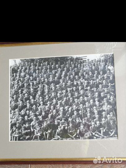 Коллекционное чб фото Великая война