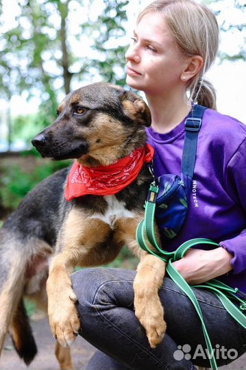 Ласковый мальчик заберите домой