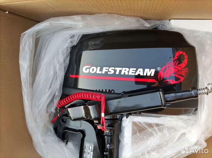 Лодочный мотор Golfstream (Гольфстрим) Т 5 BMS