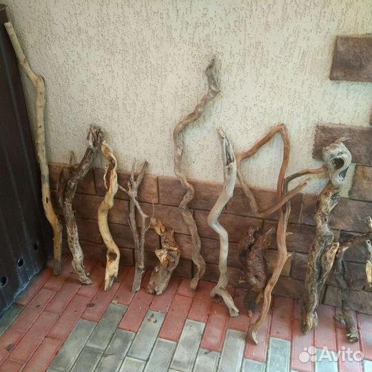 Коряги дрифтвуд