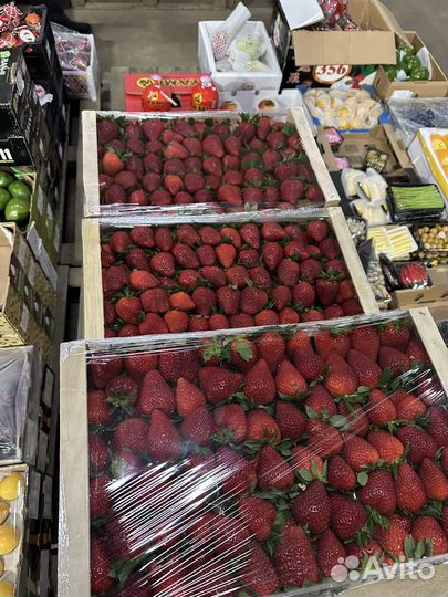 Клубника свежая