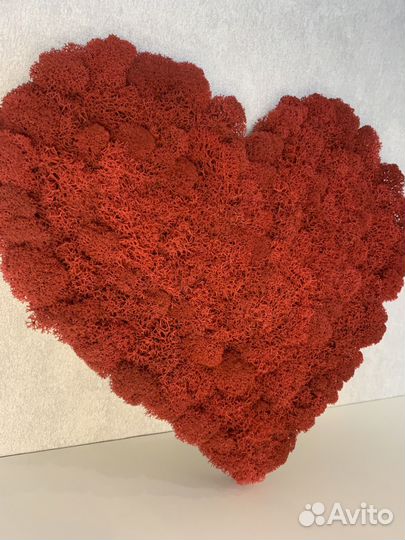 Панно Сердце со стабилизированным мхом