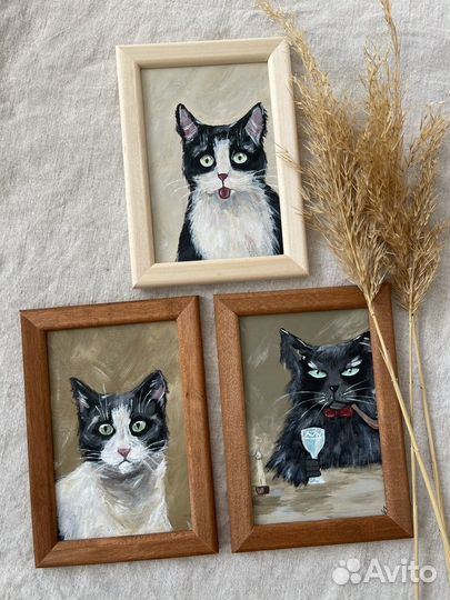 Картины коты 10х15 с рамками