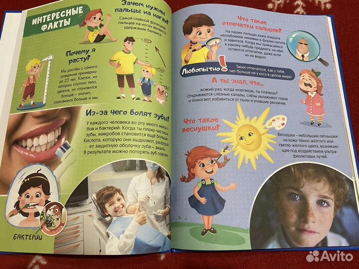 Факты о теле человека