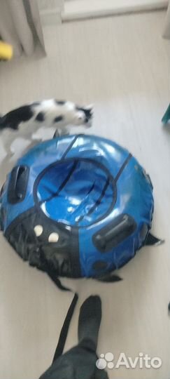 Тюбинг ватрушка