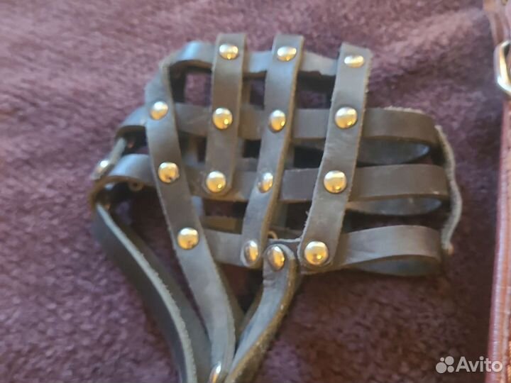 Ошейник для булли и крупных собак комплект