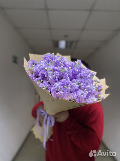 Букет из 15шт матиола/ букеты/ розы/ гипсофила