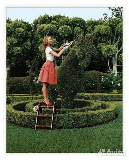 Онлайн-школа ландшафтного дизайна