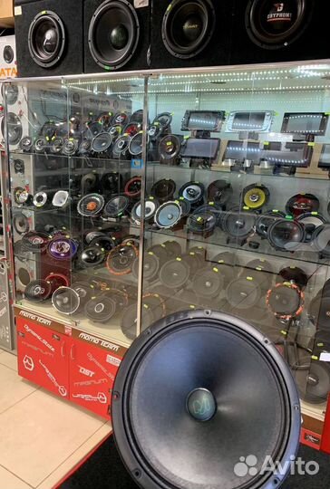 DL audio Gryphon Lite yrca 1F2M