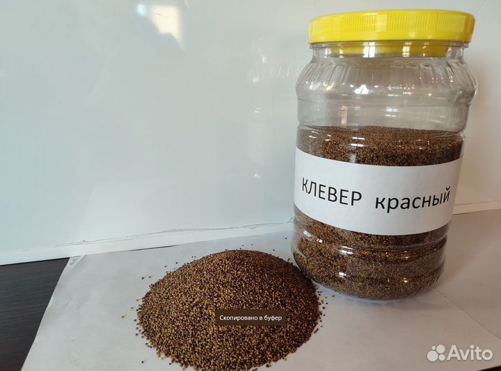 Семена клевера красного