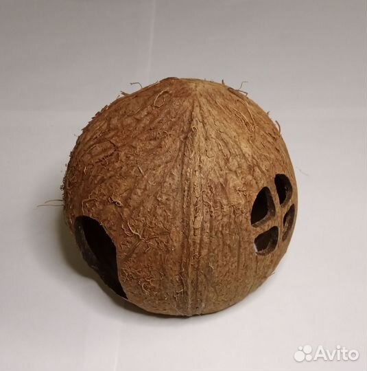 Грот из кокоса, дом для хомяка, домик для ахатин