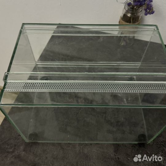 Террариум для эублефара