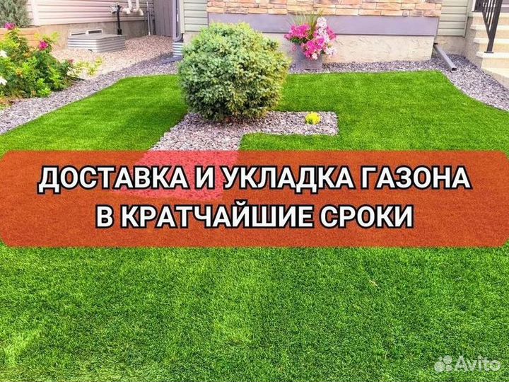 Рулонный газон/продажа/укладка