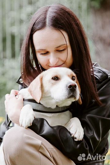 Луиза ищет семью