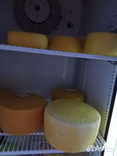 Молочные продукты