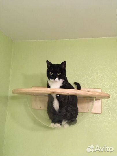 Гамак с прозрачной лежанкой для кошек