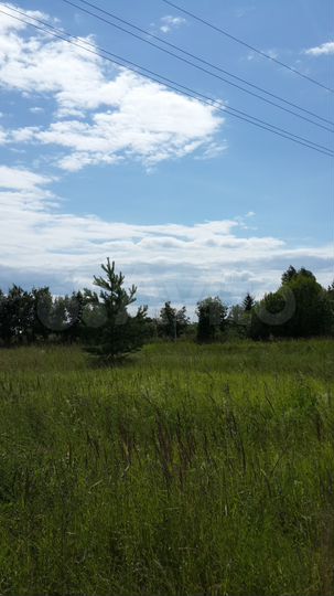 Участок 30 сот. (ИЖС)