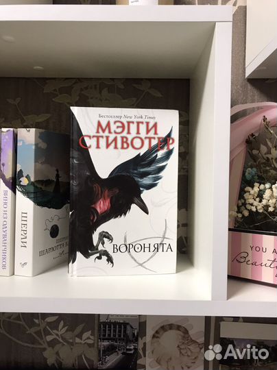 Мэгги Стивотер 