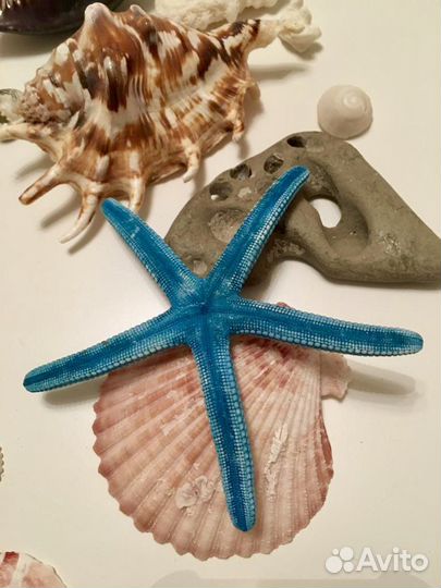 Морская коллекция новая