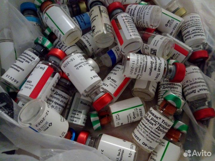 Маленькие пузырьки для творчества бесплатно