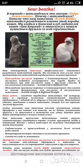 Ищу невесту