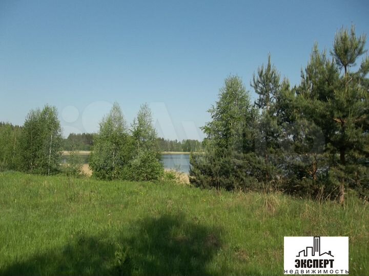 Дом 50 м² на участке 29 сот.