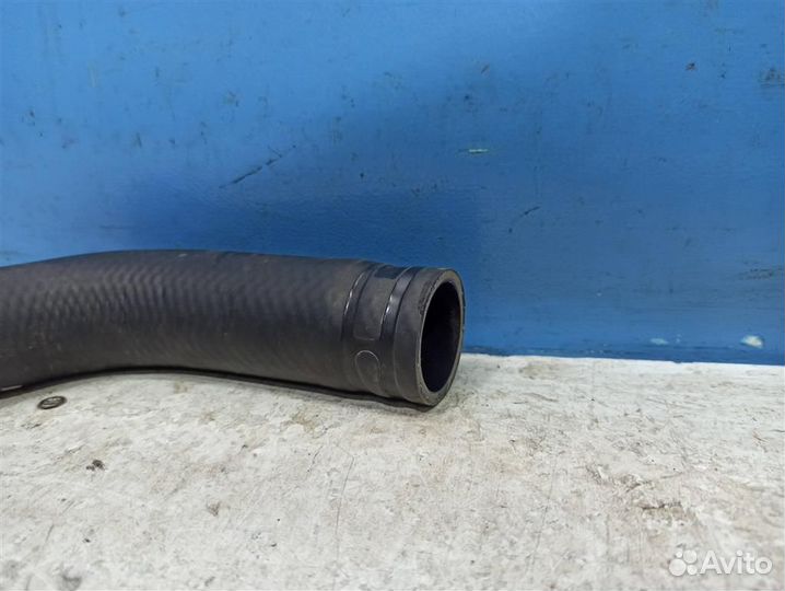 Патрубок радиатора верхний Hyundai Solaris 2 2017