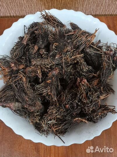 Красная щетка. Травы Алтая