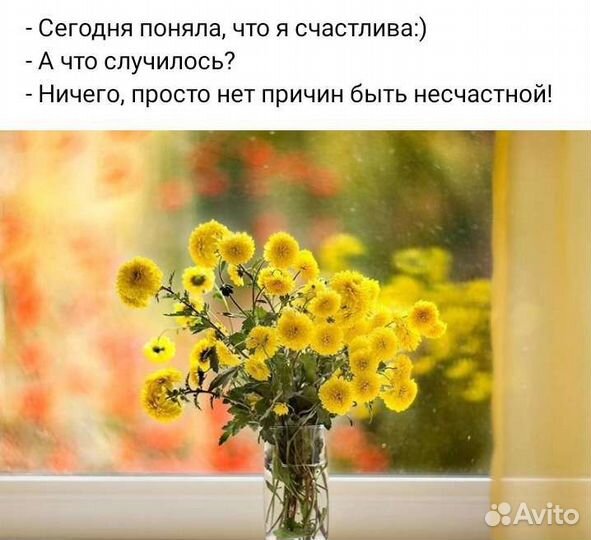 Васту-эксперт