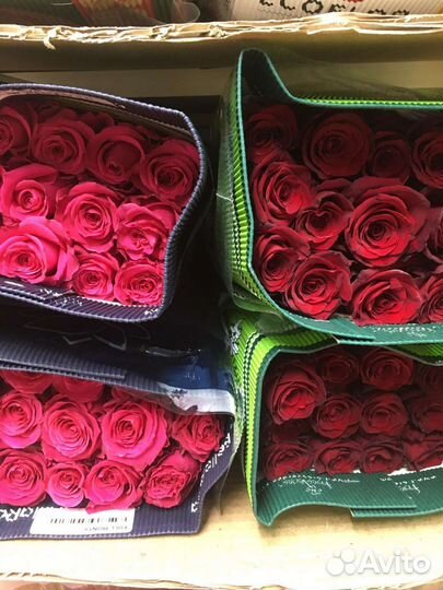 Розы Эквадор 60,70,80,90 см