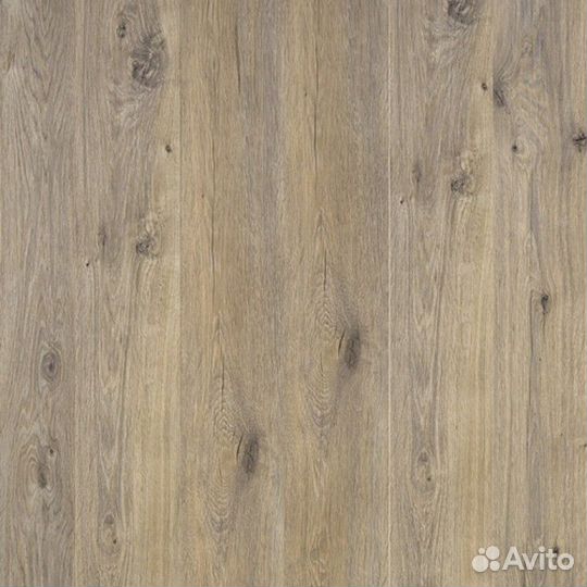 Holiday 832 Дуб Фрайдей 32 класс