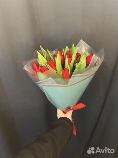 Красные тюльпаны