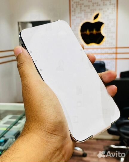 iPhone 12 Pro Max, 256 ГБ