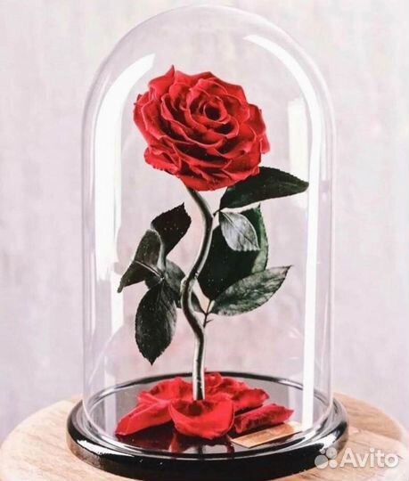 Неувядающая роза в колбе