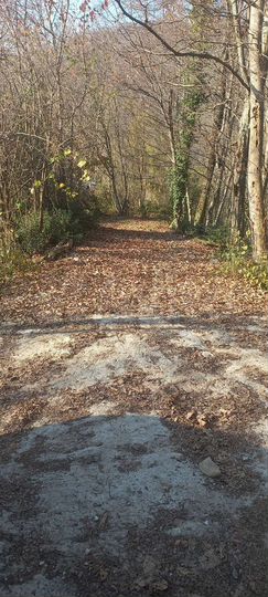 Дом 78 м² на участке 8 сот.