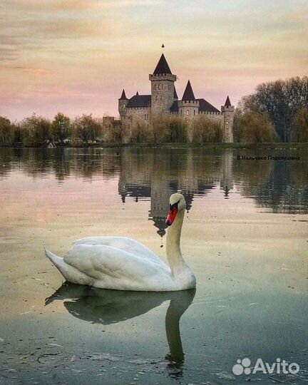 Язык тролля + Верхняя Балкария