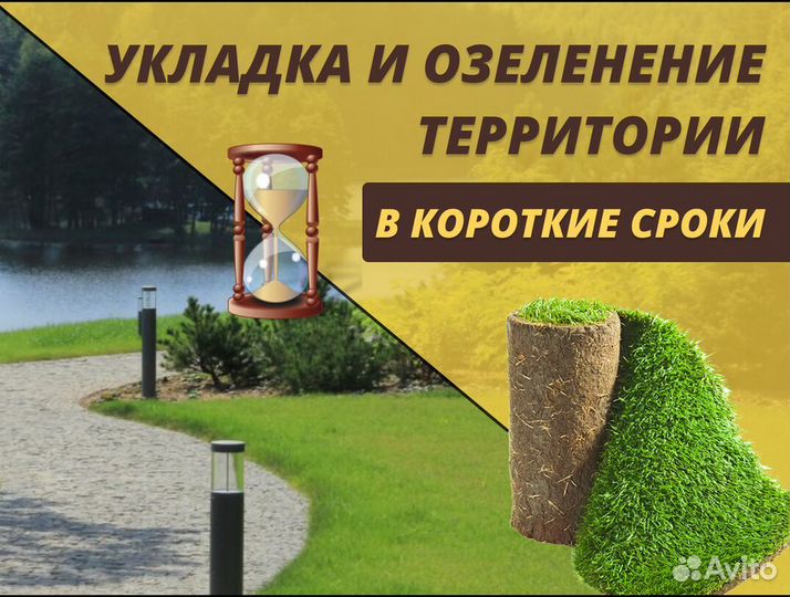 Рулонный газон от производителя