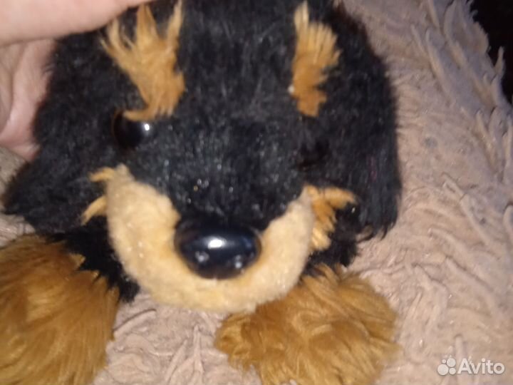 Игрушка, собака